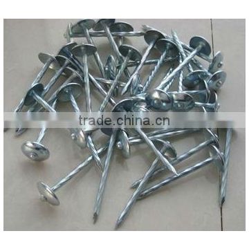 china umbrellas roofing nails/twisted shank umbrella nails/rubber washer roofing nails