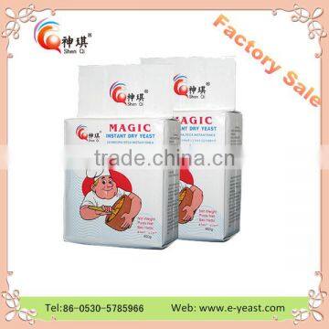 Low Sugar Instant Active Dry Yeast 100g With bv Haccp Halal Certification photo-5