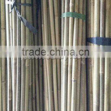 26~28mm tonkin bamboo poles/raw bamboo material/bamboo canes