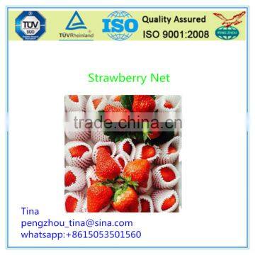 First-Rate Competitive PE Flower Packing Net photo-3