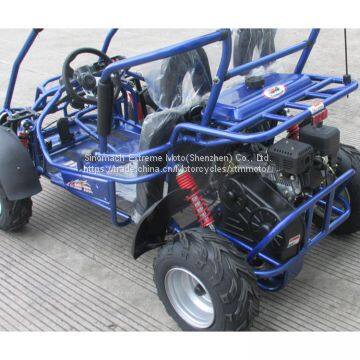 Chinese Petrol Kids Electrick Start Buggy Price photo-4