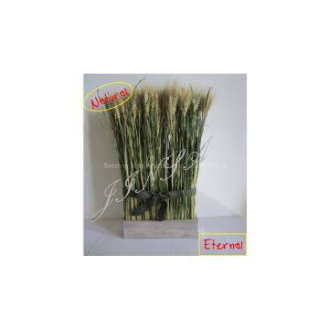 Daily Life Decoration Arrangement photo-1