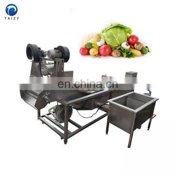 Orange Lemon Carrot Cleaner Machine Fruits and Vegetables Cleaning Equipment Vegetable Washer