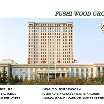 Shandong Fushi Wood Group company overview - view 1