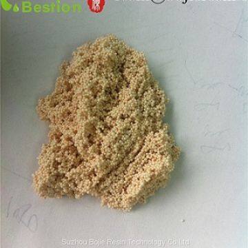 Streptomycin extraction resin