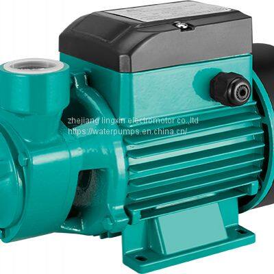 MICRO CLEAN WATER PUMP QB-60 photo-2