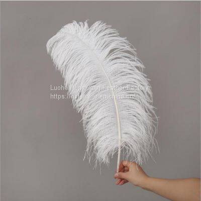Natural 10-75cm Artificial Ostrich Feather for Party and Wedding Decoration photo-5