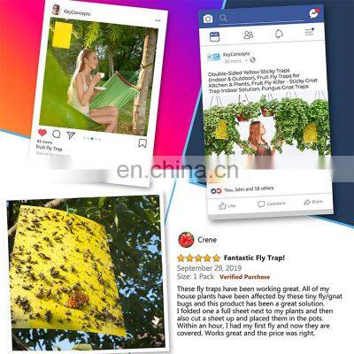 Double Side Garden Greenhouse Fly Control Yellow Glue Board Insect Sticky Traps Sticky Fly Paper Fly Killers