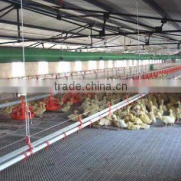 Steel Structure Workshop, Steel Structure Poultry House and Poultry Farming Workshop