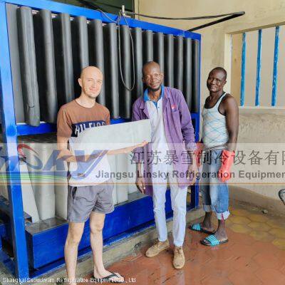Industrial Ice Machine 30Ton Ice Machine for Fish
