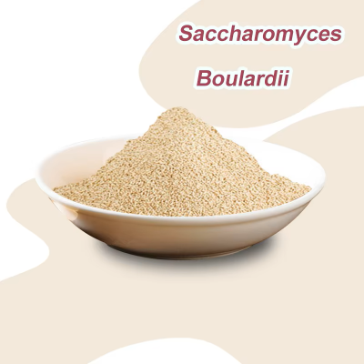 20 Billion CFU Probiotics Powder Saccharomyces Boulardii Powder Yeast probiotics For Gut Health