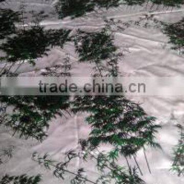 printed silk fabric