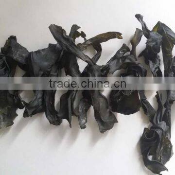 Dried Kelp Knot,Highest Grade Kelp Seaweed,Dry Kelp Knot