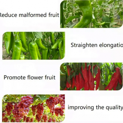 Agrochemical Root Growth Regulator Indole 3 Butyric Acid Potassium Salt 98%TC Ibak photo-3