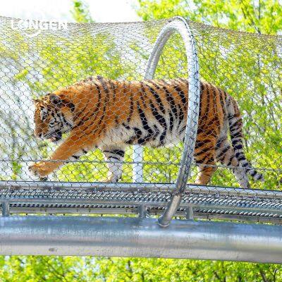 Отличная гибкая стальная шнуровая сетка с стальными втулками для зоопарка | Заполнение перил | Антикоррозионная