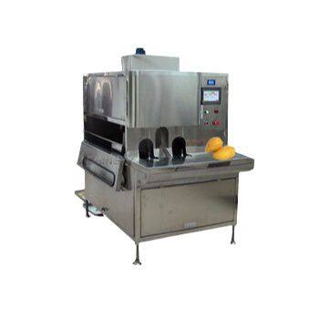 Машина для очистки свежих манго Shanghai производительностью 1,5 тонны в час