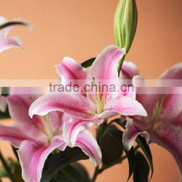 High grade sorbonne lily flower for wedding decoration