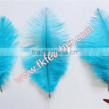 Natural Craft Ostrich Feather Fabric And Blue Decoration Ostrich Feather Coat photo-5