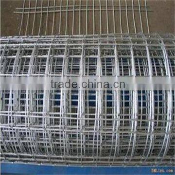Trade Assurance Welded Wire Mesh Panel for Building photo-2
