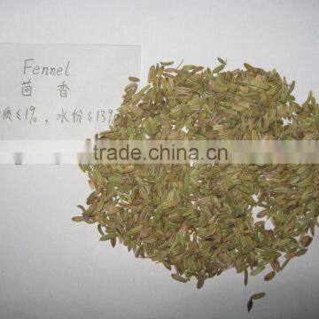 high quality dry fennel