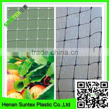 100% Original Raw Material With UV Additives Bird Netting Heavy Duty Hdpe Plastic Mesh Netting Garden Protection Net photo-3