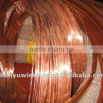 brass wire mesh(factory)