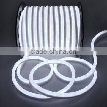 24v 110v 220v multiple color neon led tube light                        
                                                Quality Choice