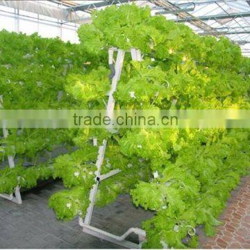 Hydroponics Tower for Vegetable Greenhouse