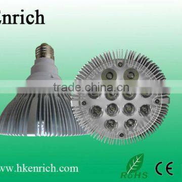 LED Par 38light(Glass spotlight)