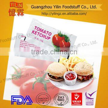 Competitive Price 10g Organic Natural Tomato Ketchup Sachet photo-5