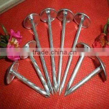 2"x9bwg Galvanized Roofing Nails With Umbrella Head photo-4