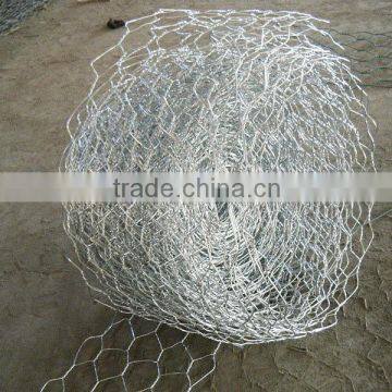 1/2 Inch Hot Dipped Galvanized Hexagonal Wire Netting photo-4