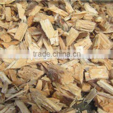 Professional Drag Conveyor photo-4