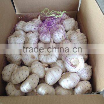 2015 China Garlic Price photo-2