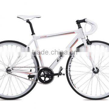 Fashion Road Bike