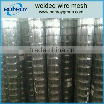 galvanized welded wire mesh