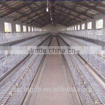 cheap chicken feed with light guage steel frame