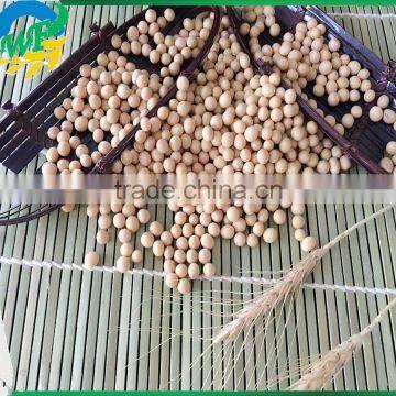 Yellow Soybean photo-2