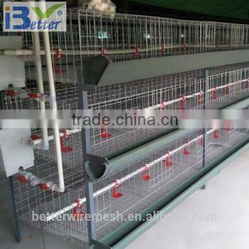 New design BT Factory hot-sale commercial broiler chicken cages(Factory price)