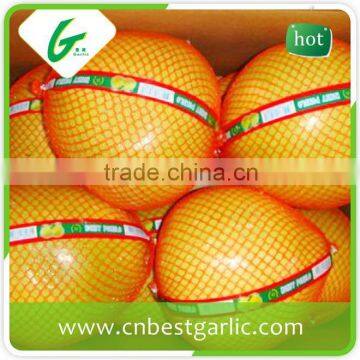 Sweet Honey Pomelo 12kg and 15kg Carton for European Market photo-3
