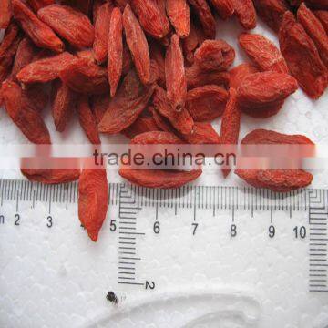 Farm Supply Goji Berries Ningxia Origin photo-2