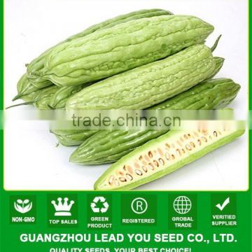 NBG01 Heku best bitter gourd seeds company