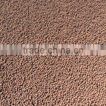 Garden Expanded Clay Pebbles as Growimg Medium for Hydro-culture