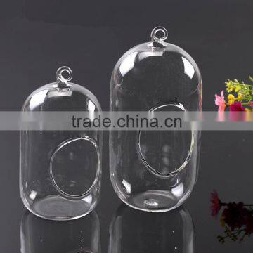 Hanging Micro Landscape Ecological Meaty Plant Glass Vase photo-2