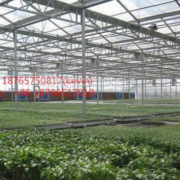 hot sellIntelligent  Greenhouse&agricultural Greenhouse