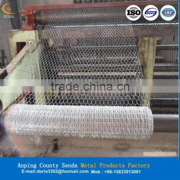 Hexagonal Fence Netting (ISO9001:2008 and Factory and Exporter ) photo-2