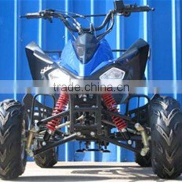 800W Shaft Differential Rear Axle Drive Electric ATV Quad for Sale(TKE-A800-L) photo-2