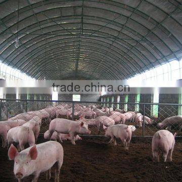 250mm PE Film Covered Single-Span Greenhouse For Cow/Pig Growing photo-5