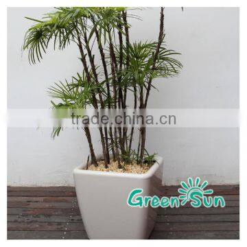 Bulk Sale Plastic Flower Pot Plastic Garden Pot photo-2