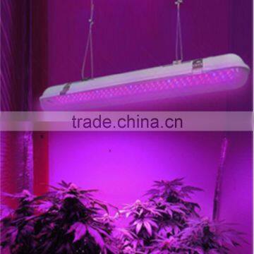 20W Waterproof LED Grow Light